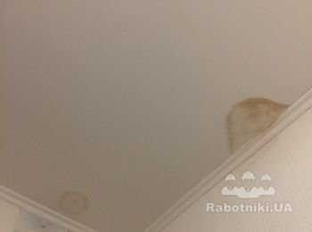 Устранение последствий потопа. Покрасить потолок и стены