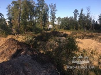 Уборка участка от поросли Ирпень