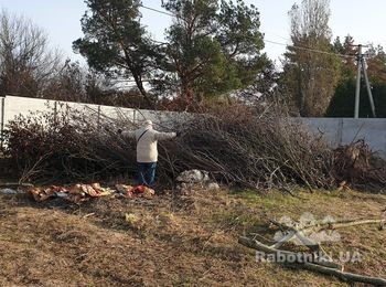 Вывезти ветки и разложить камни
