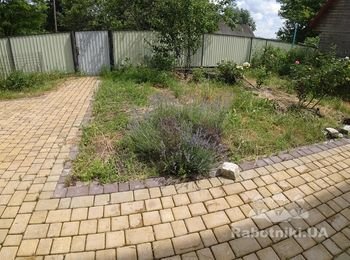 Потрібен професійний мебляр для збирання меблів на увесь будинок