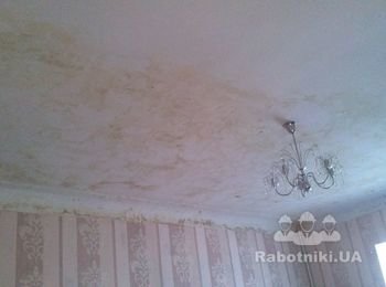 Удаление грибка и плесени после затопления.