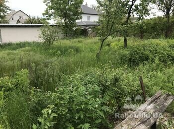 Расчистка дачного участка
