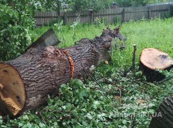 Распилить дуб на чурбаки.