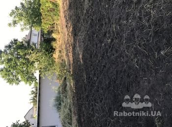 Разнорабочий на дачный участок Осокорки