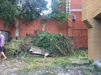 Вывоз зелёного мусора