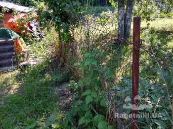 Установить забор калитку и откатные ворота
