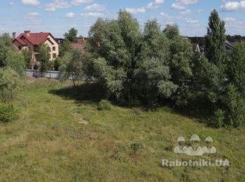 Спилить деревья и кустарники