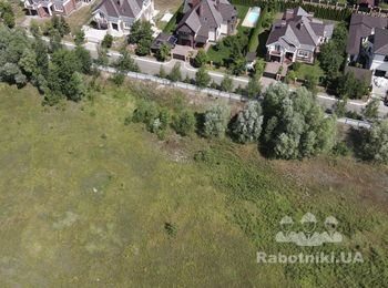 Спилить деревья и кустарники