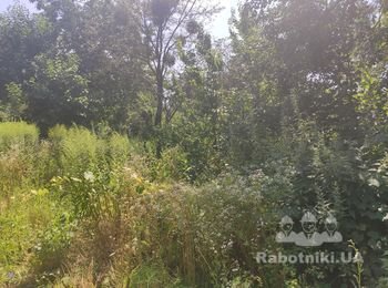 Расчистить участок от мусора и демонтаж постройки