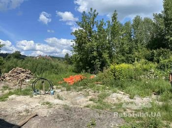 Найти робочих для валки дерев і розчистити ділянку під забудову