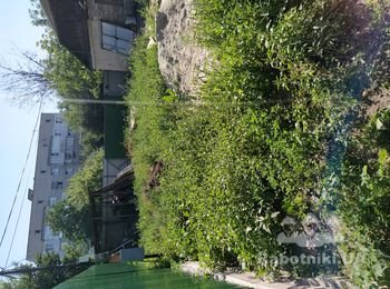 Прополоть бурьян в ручную