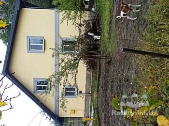 Вывести дымоход на крышу дачи