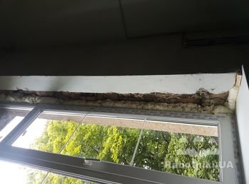 Откосы на окно в парадной