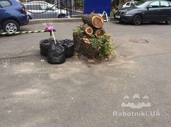 Выкорчевать пень