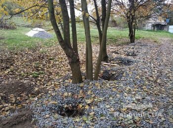 Установить 53 железных столба в почти готовые лунки.