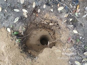 Установить 53 железных столба в почти готовые лунки.