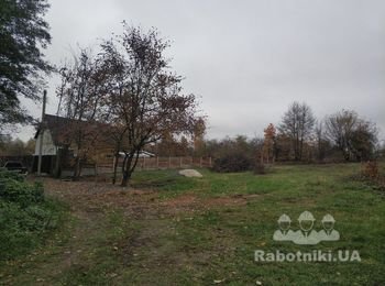 Установить 53 железных столба в почти готовые лунки.