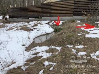 Подчистка участка от мелких дикорослых деревьев растений