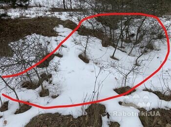 Подчистка участка от мелких дикорослых деревьев растений