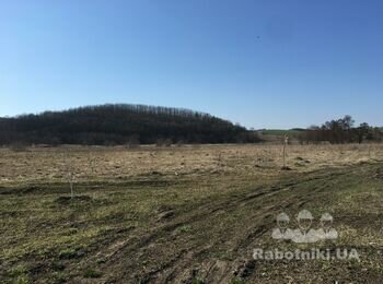 Зорати 3 га землі,