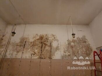 Смыть, очистить стены и потолок от побелки и остатков краски 110 кв.м.