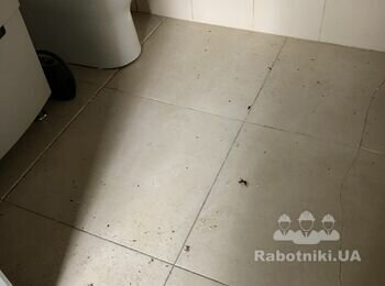Установка зворотного клапана 2 санвузла
