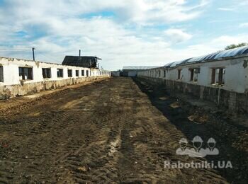 Залити армопояс на корівнику (204 м. п.)