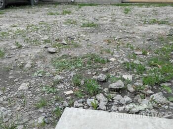 Укладка тротуарної плитки Старе місто 40 мм