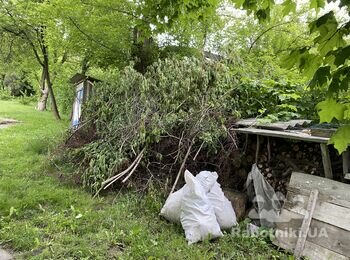 Работа по наведению порядка на участке
