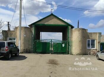 Покрівля 1300 кВ. м