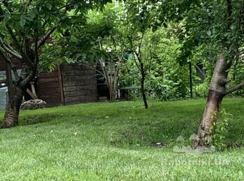 Сделать приствольные круги из декоративных столбиков Ринг.