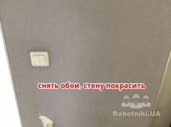 Установка сантехники, покраска стен