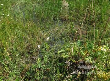 Підняти рівень ділянки