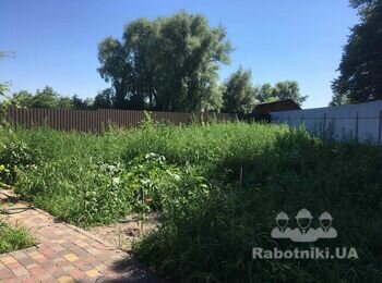 Прополоть от сорняков огород (Киевская обл., с. Соболевка)