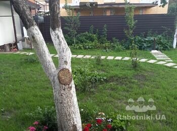 Уложить плитку без подложки на траву 18кв.м.