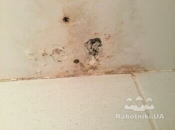 Восстановить потолок гипсокартон залили сверху хороший сосед