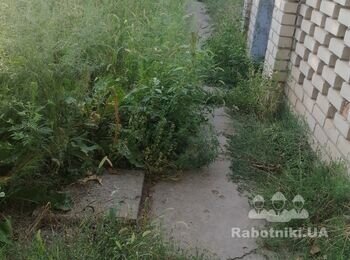 Скосити бур'ян. Прибирання ділянки.
