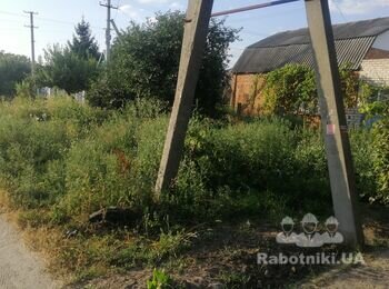 Скосити бур'ян. Прибирання ділянки.