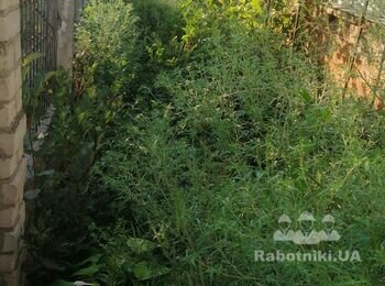 Скосити бур'ян. Прибирання ділянки.