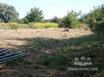 Вирівняти ділянку єкскаватором (торг)