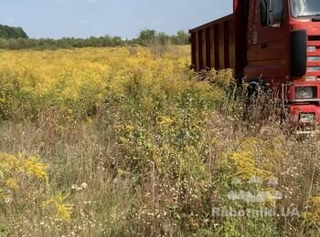 Выкосить траву на участке