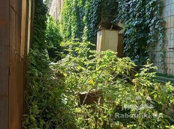 Уборка территории и вывоз мусора