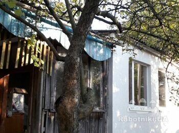 Обрезка плодовых деревьев, барышевка бориспольского района