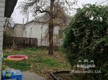 Спил дерев