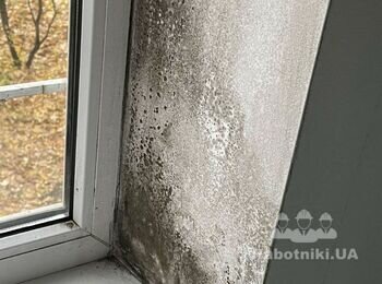Избавиться от плесени на двух откосах