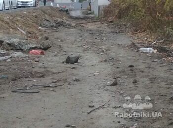 Нужно выровнять дорогу ексаватором.