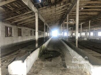 Разобрать крышу телятника 1400 кв.м.