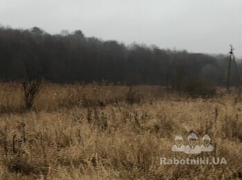 Разобрать крышу телятника 1400 кв.м.