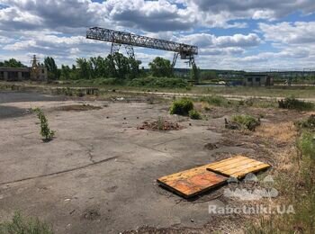 Расчистка и планировка открытой территории ориентировочно 6 000 кв. м.