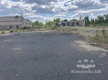 Расчистка и планировка открытой территории ориентировочно 6 000 кв. м.